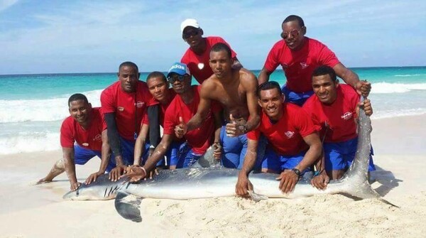 Eικόνες ντροπής με ναυαγοσώστες να βασανίζουν και να σκοτώνουν καρχαρία και τουρίστες να βγάζουν φωτογραφίες