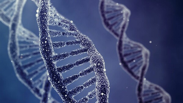 Πολλά γονίδια συνεχίζουν να δραστηριοποιούνται και μετά το θάνατο του οργανισμού σύμφωνα με νέα έρευνα