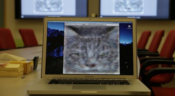 Πόσοι υπολογιστές χρειάζονται για να αναγνωρίσουν μια γάτα;