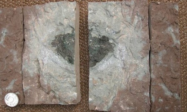 Mοναδικός μετεωρίτης ανακαλύφθηκε σε λατομείο στη Σουηδία