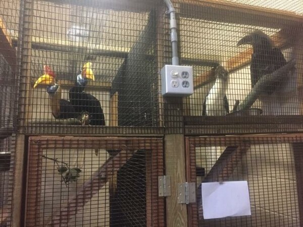 Καθώς ο Μάθιου σαρώνει την Φλόριντα εκατοντάδες ζώα και πουλιά απόψε συγκατοικούν για να προστατευθούν