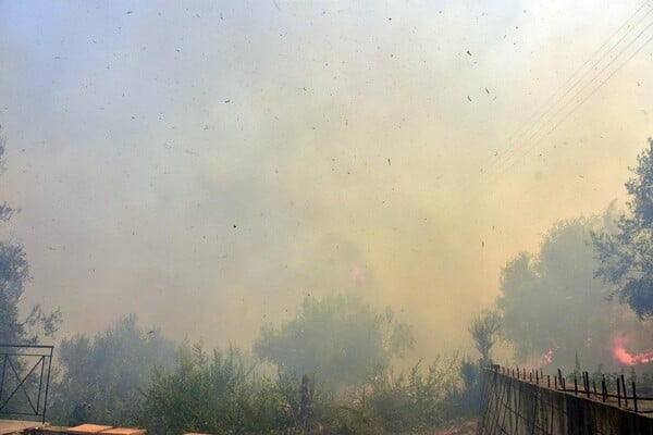Σε εξέλιξη πυρκαγιές σε Αττική και Εύβοια
