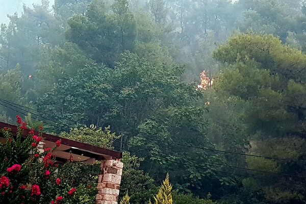 Οι πρώτες φωτογραφίες από τη μεγάλη φωτιά στην Εύβοια