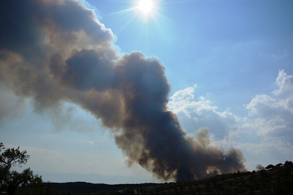 Υψηλός ο κίνδυνος πυρκαγιάς σήμερα - Φωτιά στην Κάρυστο