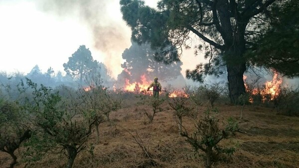 Στο έλεος της πυρκαγιάς οι Κανάριες Νήσοι - 2.500 άνθρωποι εγκατέλειψαν τα σπίτια τους