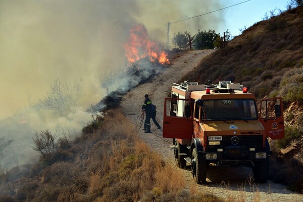 Πύρινα μέτωπα σε Παγγαίο, Ναύπλιο και Φάρσαλα - Μάχη με τις φλόγες δίνουν οι πυροσβέστες