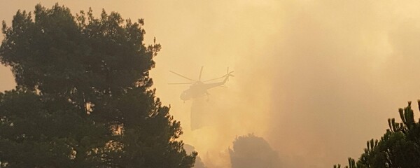 Υπό έλεγχο τέθηκε η φωτιά στη βόρεια Εύβοια - Σε επιφυλακή η πυροσβεστική λόγω των ισχυρών ανέμων