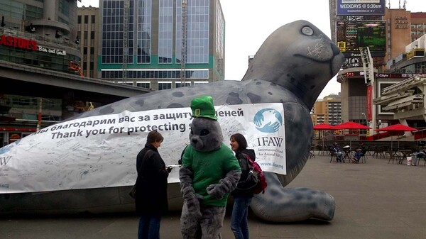 Διαδηλώσεις σε όλο τον κόσμο το Σάββατο για τη σωτηρία των άγριων ζώων
