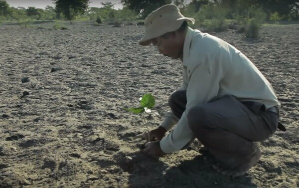 Πριν από 40 χρόνια ένας 16χρονος άρχισε να φυτεύει δέντρα σε ένα απομονωμένο νησί και τώρα είναι αγνώριστο