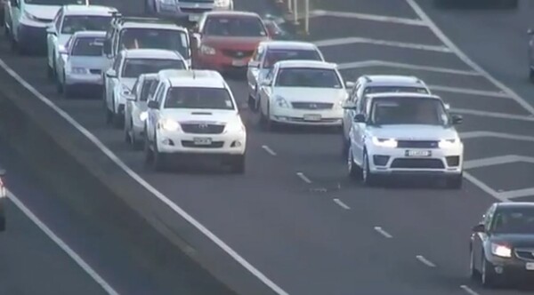 Οδηγοί σταματούν ο ένας πίσω από τον άλλο για να περάσει πάπια με τα μικρά της στη Νέα Ζηλανδία - BINTEO