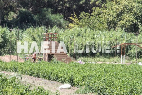 Απίστευτος (not) στίβος μάχης για το SURVIVAL στην Κουρούτα