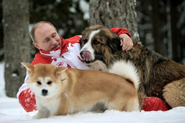Ο Πούτιν απέρριψε τον σκύλο που ήθελε να του κάνει δώρο η Ιαπωνία