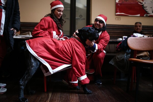 Παρέες, οικογένειες και σκύλοι κατέκλυσαν το κέντρο της Αθήνας ντυμένοι Αϊ Βασίληδες- δρομείς