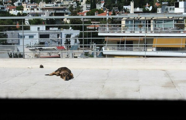 Στο Παρίσι βλέπουν τη θέα απ' τα παράθυρα της Αθήνας ///