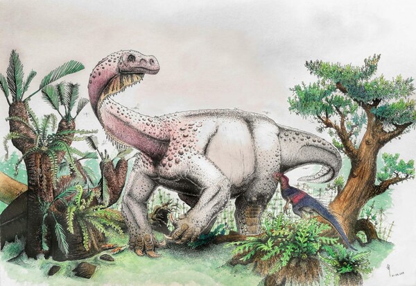 Το απολίθωμα ενός τεράστιου δεινοσαύρου ανακαλύφθηκε στη Νότια Αφρική (ΒΙΝΤΕΟ)