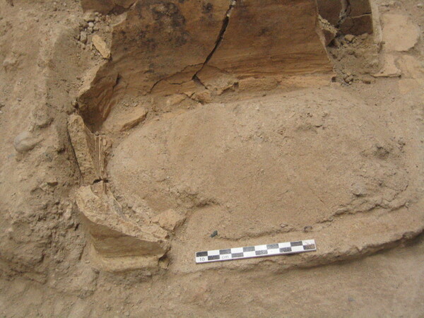 Στο φως νέοι αρχαιολογικοί θησαυροί στη Σαντορίνη – Το μαρμάρινο γυναικείο ειδώλιο που εντυπωσιάζει