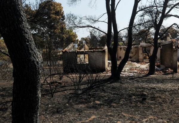 Δήμαρχος Ραφήνας: H Πυροσβεστική δεν αξιολόγησε σωστά την πυρκαγιά στο Μάτι