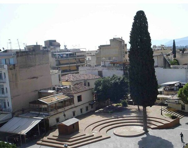 Ένα εμβληματικό κυπαρίσσι θα κοπεί στο Άργος - Εδώ μπορείτε να υπογράψετε για να σωθεί