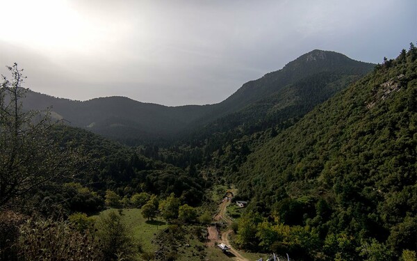 Αυλαία στα Καλάβρυτα για το Πανελλήνιο Κύπελλο Downhill