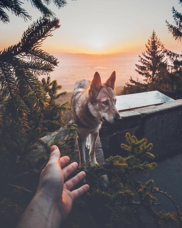 Βαρεθήκατε το #FollowMeTo με τα πιασμένα χέρια στο Instagram; Αυτός ο σκύλος έχει μια καλύτερη πρόταση