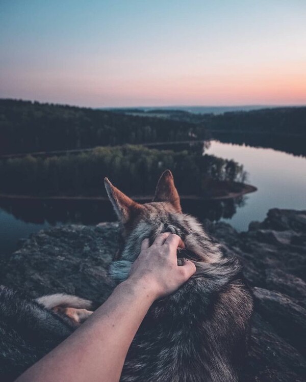 Βαρεθήκατε το #FollowMeTo με τα πιασμένα χέρια στο Instagram; Αυτός ο σκύλος έχει μια καλύτερη πρόταση