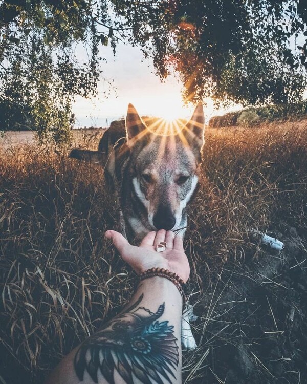 Βαρεθήκατε το #FollowMeTo με τα πιασμένα χέρια στο Instagram; Αυτός ο σκύλος έχει μια καλύτερη πρόταση