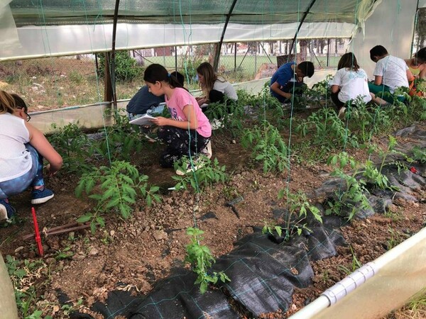 Κλείνει λόγω εφορίας λαχανόκηπος που έφτιαξαν μαθητές Δημοτικού σχολείου