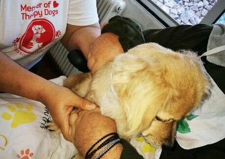 Το 424 Στρατιωτικό Νοσοκομείο είναι το μοναδικό στην Θεσσαλονίκη που εφαρμόζει θεραπεία μέσω σκύλων