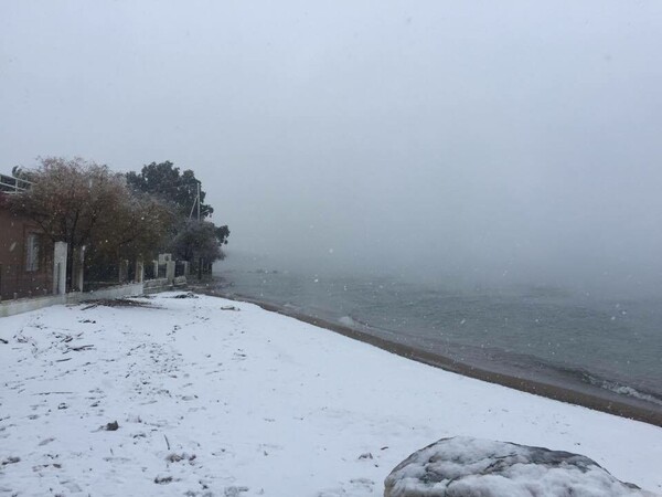 Στα λευκά ακόμη και οι παραλίες της Πάτρας