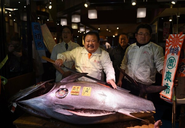 Τόκιο: Ιδιοκτήτης εστιατορίου πλήρωσε 570.000 ευρώ για έναν μπλε τόνο Ειρηνικού