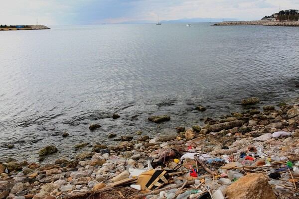 Μια νεκρή κατσίκα, σκουπίδια και άπειρα πλαστικά στην παραλία του ΣΕΦ στο Φάληρο