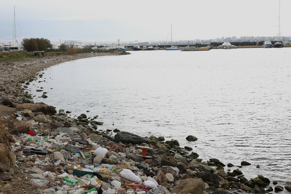 Μια νεκρή κατσίκα, σκουπίδια και άπειρα πλαστικά στην παραλία του ΣΕΦ στο Φάληρο