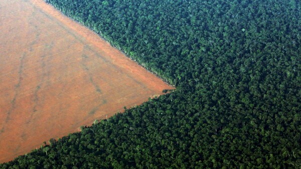 Συναγερμός για τον Αμαζόνιο - Σε ένα χρόνο εξαφανίστηκε δάσος πέντε φορές μεγαλύτερο από το Λονδίνο