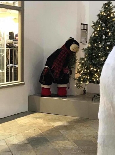 Πολικές αρκούδες που κάνουν σεξ - Το αμφιλεγόμενο «μήνυμα» των Χριστουγέννων σε εμπορικό κέντρο