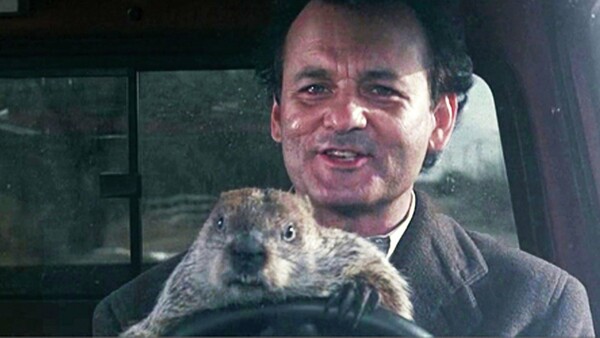 Happy Groundhog Day!