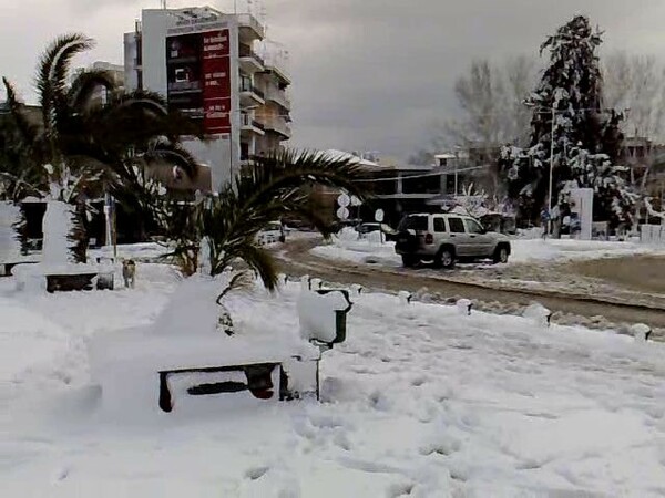 Ως την θάλασσα έφτασαν τα χιόνια στην Εύβοια