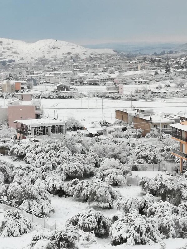 Ως την θάλασσα έφτασαν τα χιόνια στην Εύβοια