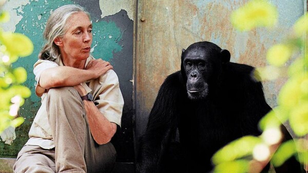 Η κορυφαία ανθρωπολόγος Jane Goodall έρχεται στην Ελλάδα για τρεις διαλέξεις
