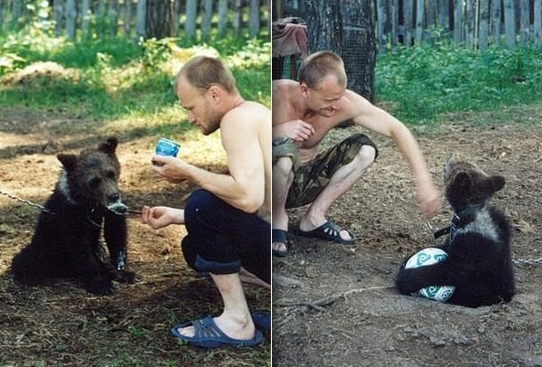 Κυνηγός κατασπαράχθηκε από αρκούδα που μεγάλωνε σαν κατοικίδιο από μωρό