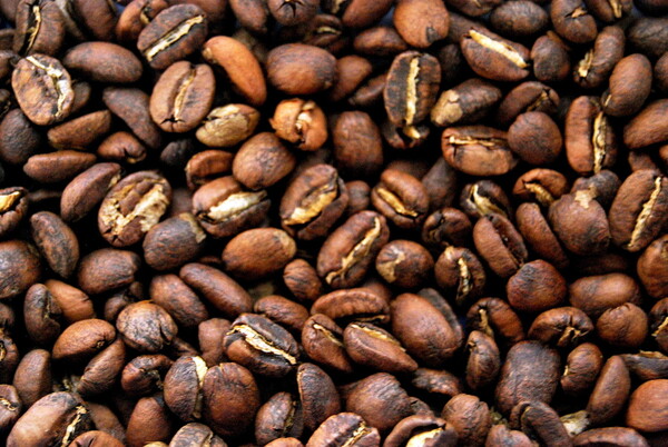 Η κλιματική αλλαγή απειλεί με εξαφάνιση το 60% των άγριων ειδών καφέ