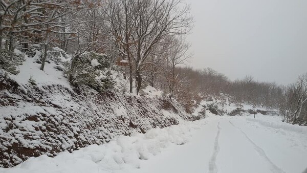 Δυνατός χιονιάς στην κεντρική Ελλάδα - Σε ποιους δρόμους χρειάζονται αλυσίδες