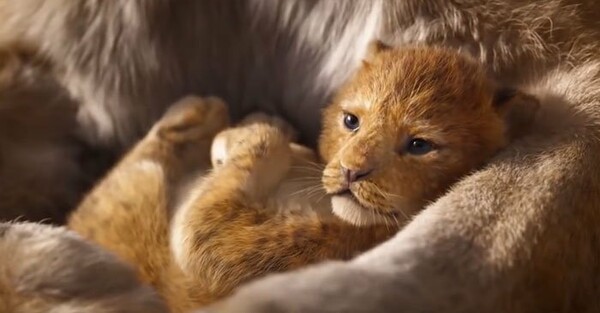 Το «Lion King» έσπασε το ίντερνετ - Δείτε το απόλυτο βίντεο με την σύγκριση των δύο τρέιλερ
