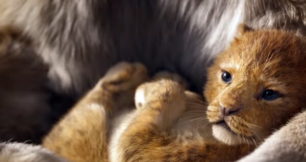 Η Disney έδωσε στη δημοσιότητα το τρέιλερ του νέου Lion King - ΒΙΝΤΕΟ