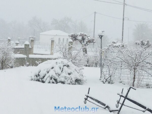 Ως την θάλασσα έφτασαν τα χιόνια στην Εύβοια