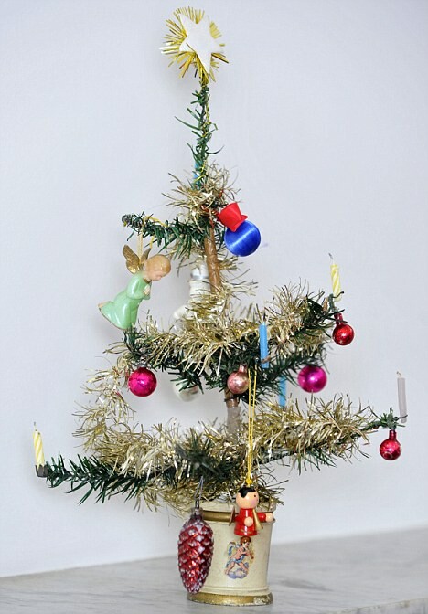 Αυτό είναι το παλαιότερο χριστουγεννιάτικο δέντρο που στολίζεται ακόμα