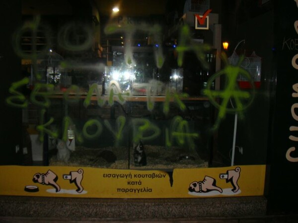 Θεσσαλονίκη: Αντιεξουσιαστές έγραψαν συνθήματα σε pet shops για την θανάτωση των δυο τζάγκουαρ