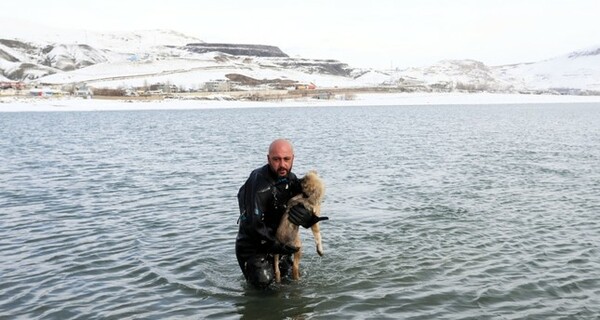 Ηρωικός αστυνομικός στην Τουρκία βούτηξε σε παγωμένη λίμνη για να σώσει ένα σκυλί