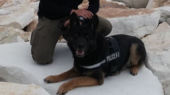Η ΕΛ.ΑΣ. αποχαιρετά τον αστυνομικό σκύλο «Τζάκι»- Πέθανε μετά από μάχη με τον καρκίνο
