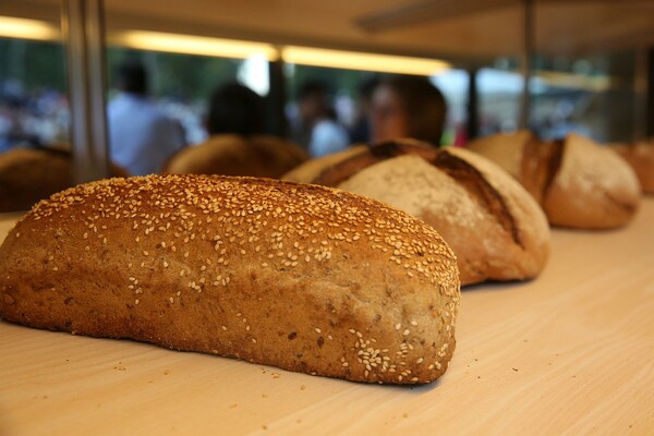 Ερευνητές υπολόγισαν για πρώτη φορά το περιβαλλοντικό κόστος μιας φραντζόλας ψωμιού