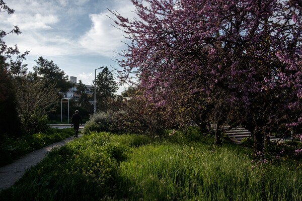 Αίθριος καιρός με αραιές νεφώσεις